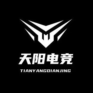 天阳电竞