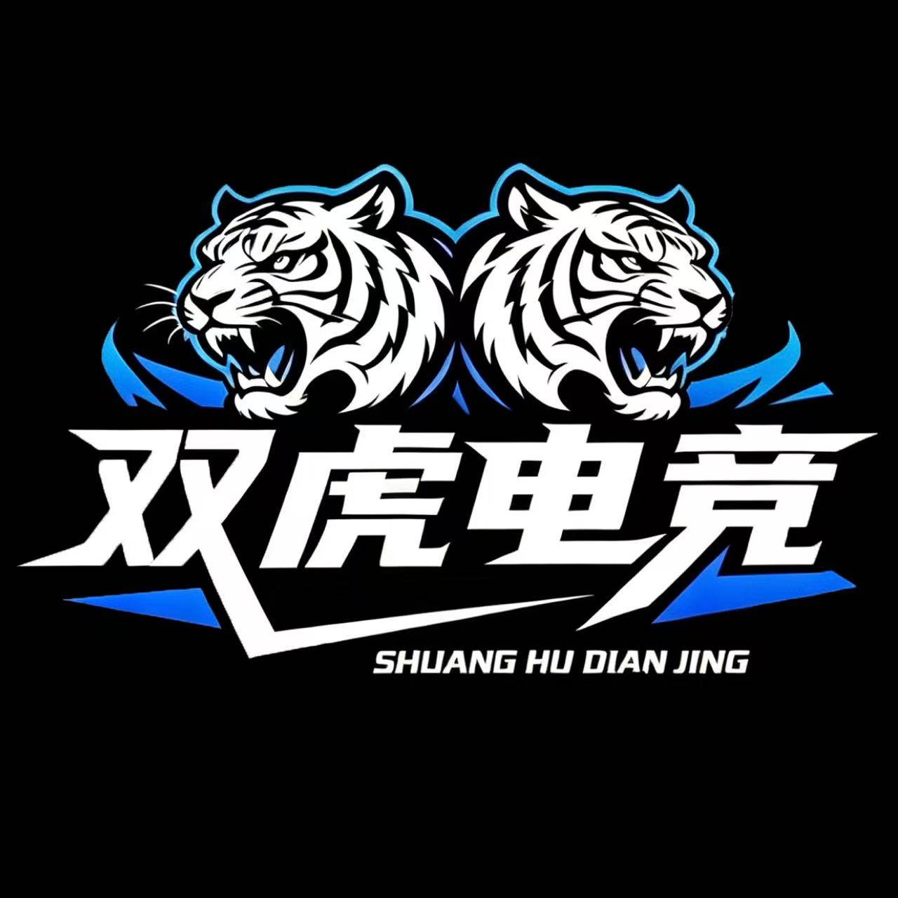 双虎电竞